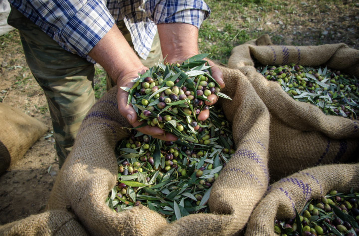 Ekran Resmi 2026-04-15 18.07.47