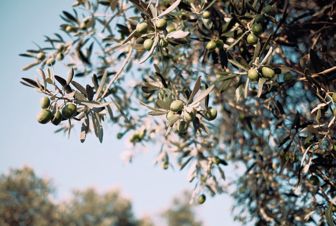 Ekran Resmi 2026-04-15 18.30.59