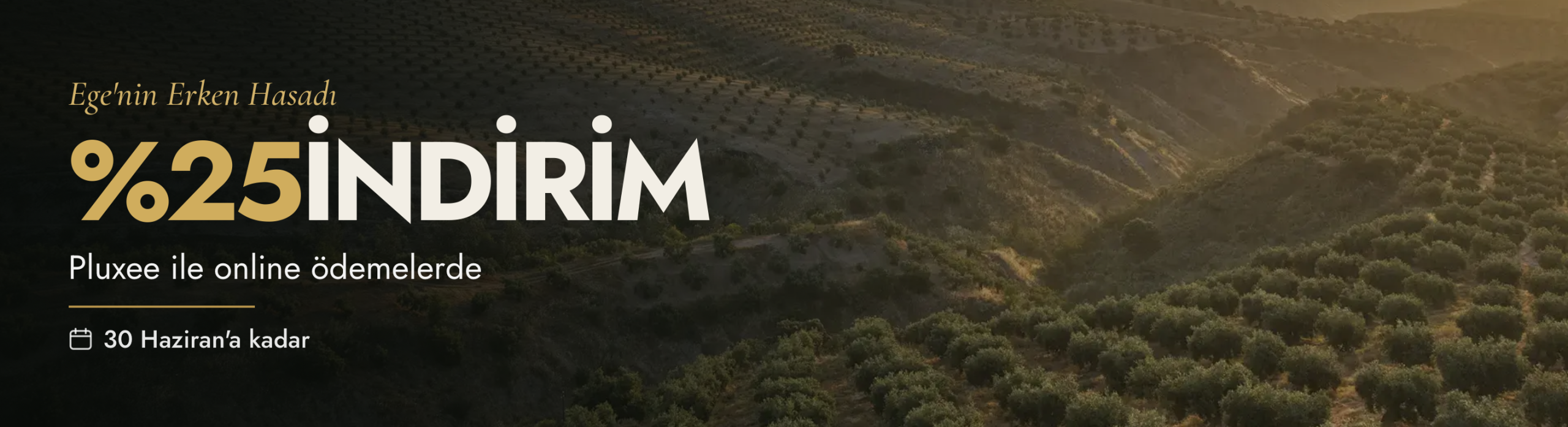 Ayvalık Erken Hasat Soğuk Sıkım Sızma Zeytinyağı Sadık Amca